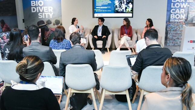 COP 28: países latinoamericanos promueven el involucramiento de la juventud en la acción climática