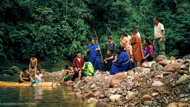 COP 28: Lanzan Plataforma global para apoyar a pueblos indígenas y comunidades locales en la acción climática en los bosques