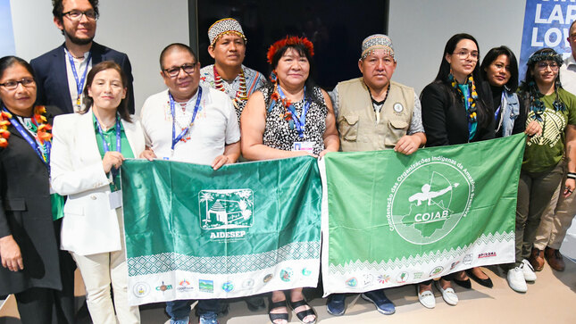 Países participantes en la COP 28 conocen las acciones del Perú frente al cambio climático