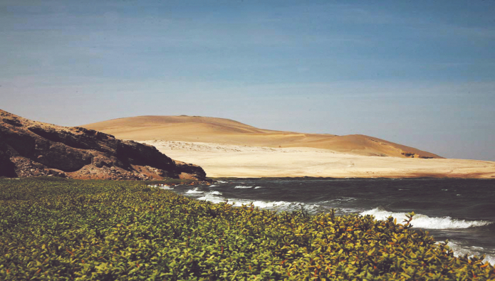 Minam publica proyecto del Plan Nacional contra la Desertificación y Sequía al 2030
