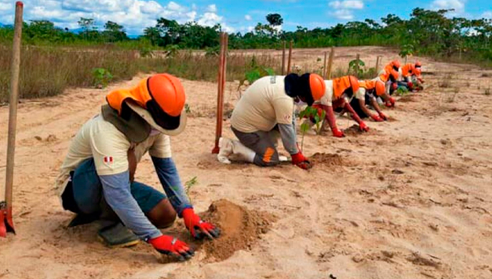 Con estas acciones puedes ayudar en la lucha contra la desertificación y la sequía