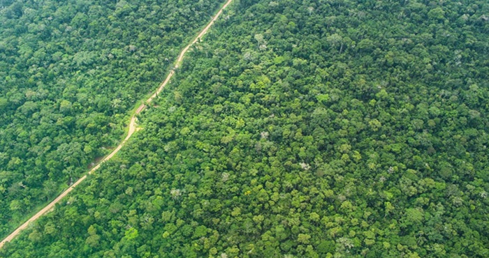 Perú: alrededor de $23 millones se invirtió para conservar 12 millones de hectáreas de bosques amazónicos