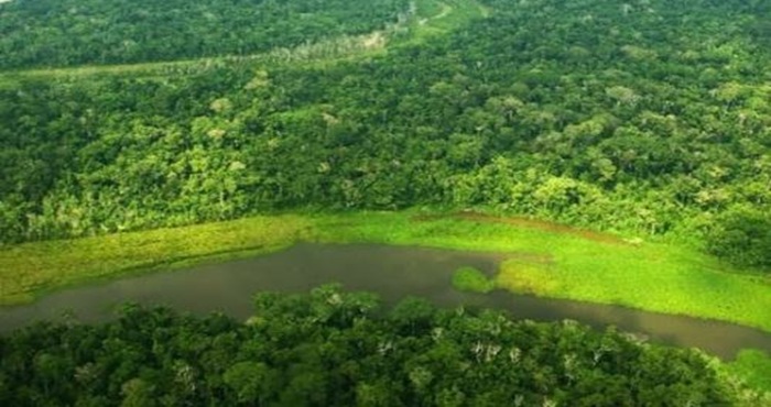 Conoce qué es y cómo funciona el mercado de carbono