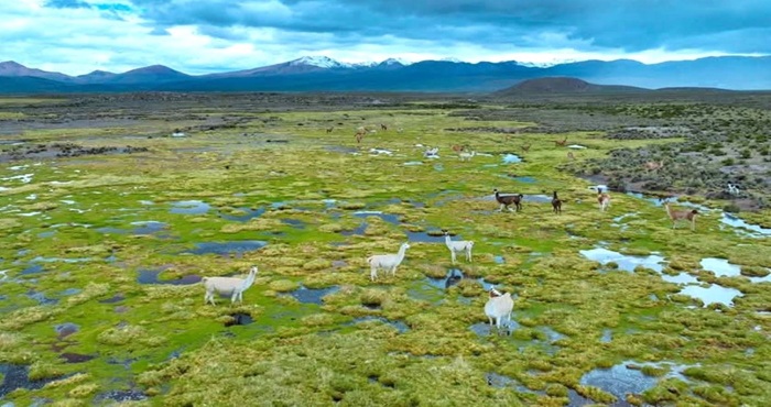 Tacna aprueba su Estrategia Regional de Cambio Climático al 2050