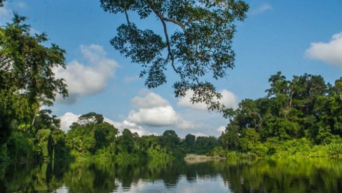 Perú logra financiamiento de $30 millones para proteger nuestra Amazonía y enfrentar el cambio climático