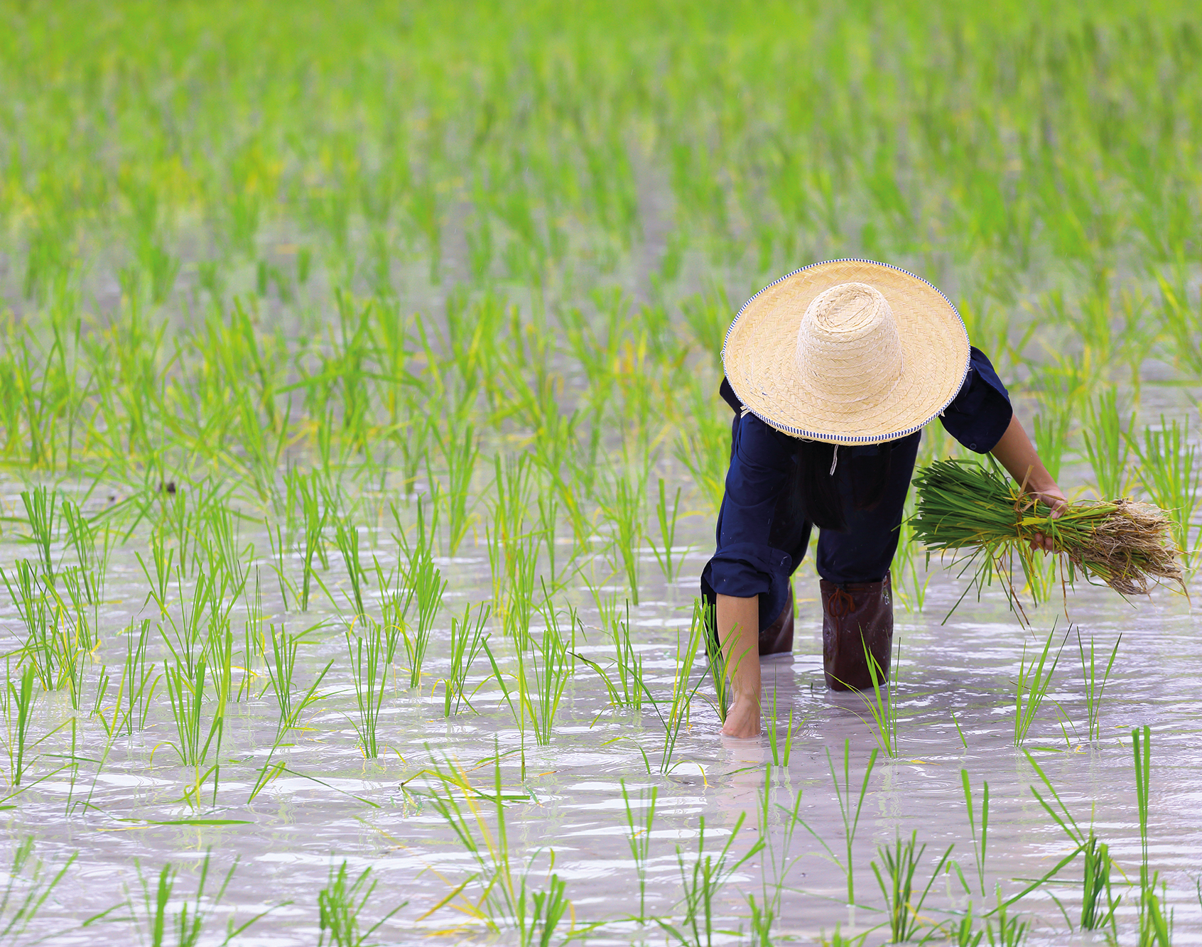 shutterstock_150128936_web3