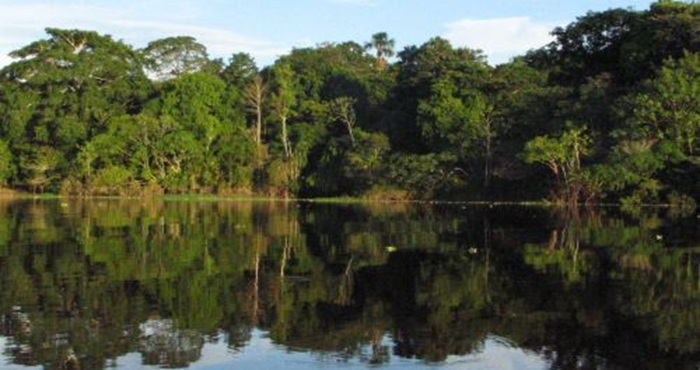 Perú y Singapur lanzan convocatoria para proyectos que ayuden a reducir las emisiones de gases de efecto invernadero en el país