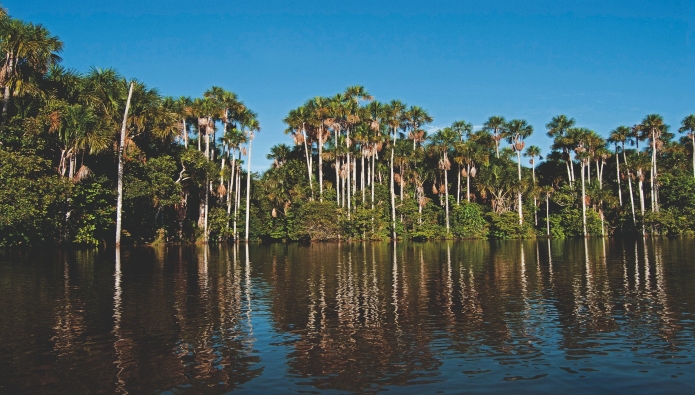 Perú llega a la COP30 con soluciones concretas desde el territorio y con las comunidades frente a impactos del cambio climático