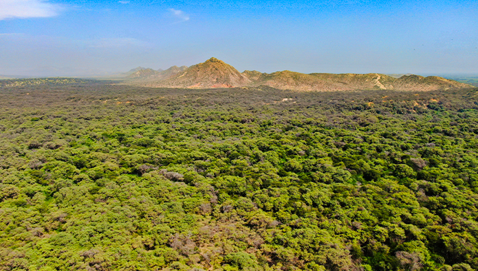 Perú reporta ante Convención de Naciones Unidas sus nuevas metas frente al cambio climático