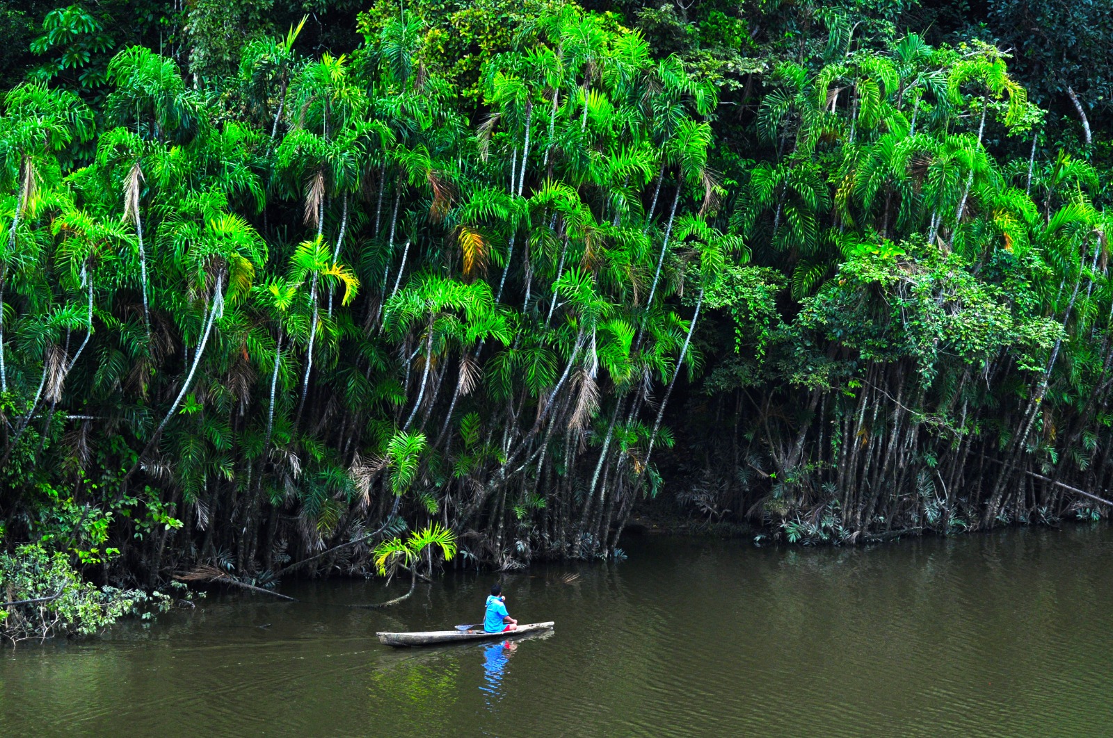 Minam: actualiza TUPA con información detallada sobre los trámites del Renami